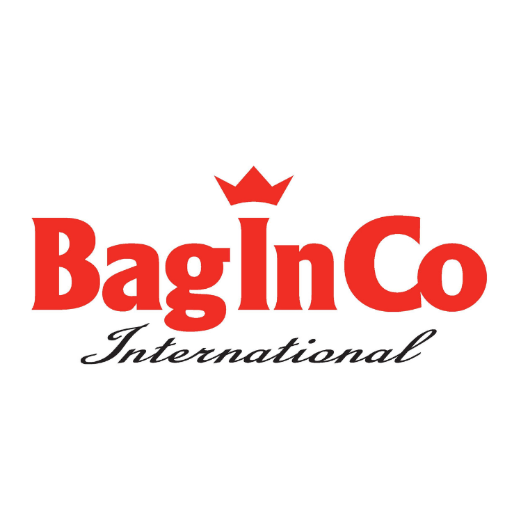 logo Baginco
